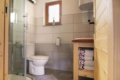 a bathroom with a toilet and a glass shower at Holiday house Jereka -Bohinj in Bohinj