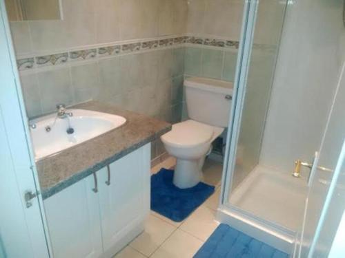 a bathroom with a toilet and a sink and a shower at Rose of Sharon Retreat in Largs