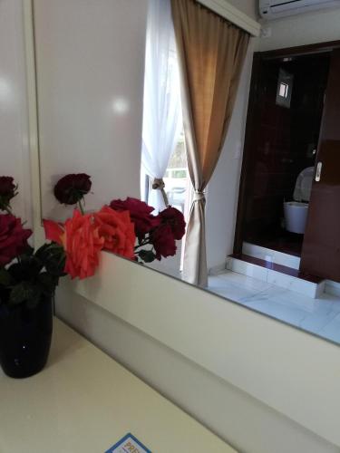 a window with red flowers on a window sill at Spiros Rooms in Kastrosikia