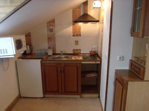 a small kitchen with a sink and a refrigerator at Квартира-студия в стиле Шале in Truskavets