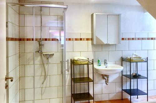 a bathroom with a shower and a sink at Ferienwohnung Mäder in Schaafheim