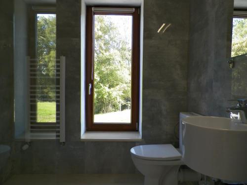 Kiszkowo的住宿－Całoroczny domek w lesie Puszcza Zielonka，一间带卫生间、水槽和窗户的浴室