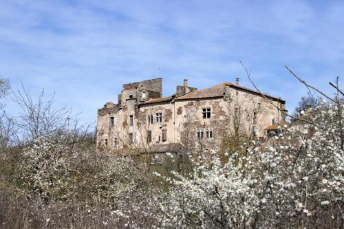 Gambar di galeri bagi Chateau de Latour sur Sorgue di Latour