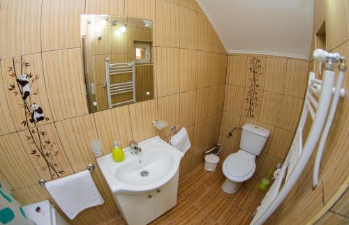 ein Badezimmer mit einem Waschbecken, einem WC und einem Spiegel in der Unterkunft Casa Liana in Oradea