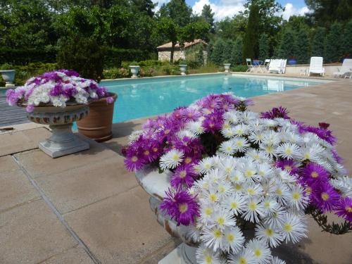 un jarrón lleno de flores junto a una piscina en DOMAINE DU PLANAS - PATIO, en Ailhon