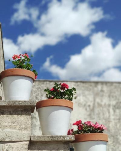 two flower pots on a wall with red flowers at Dimora Duchessina Suites de Charme in Minervino di Lecce