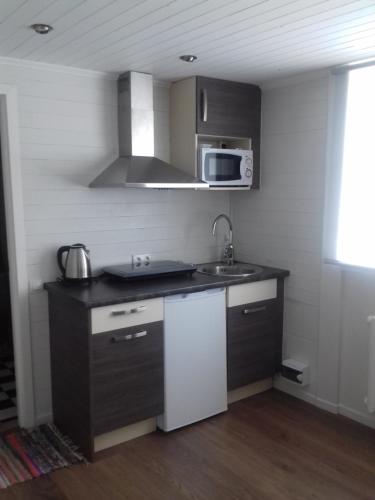 a small kitchen with a sink and a microwave at Ovelia B&B in Kuressaare