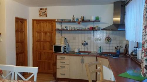 eine Küche mit einer Spüle und einer Mikrowelle in der Unterkunft Iva ubytovanie in Liptovský Mikuláš