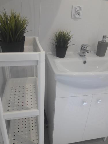a bathroom with two potted plants and a sink at Dobranocka - pokoje i całoroczne domki blisko Energylandii in Zator