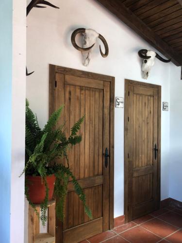 - deux portes en bois dans une pièce avec une plante dans l'établissement Alojamiento Rural El Soldao, à Medina-Sidonia