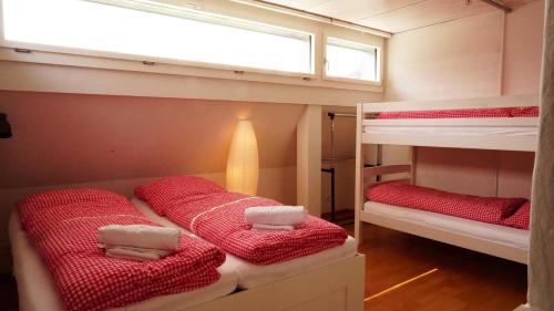 two bunk beds in a small room with a window at Adventure Hostel Interlaken in Interlaken