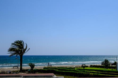a palm tree on a beach with the ocean at Yiallos Village C107 in Larnaca