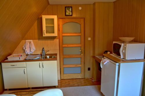 una pequeña cocina con fregadero y nevera. en Apartament Anna en Zakopane