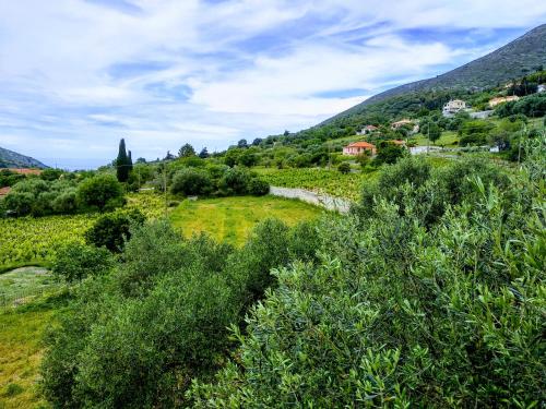 a view of a field with bushes and trees at Cephalonian Countryside Villa in Divarata