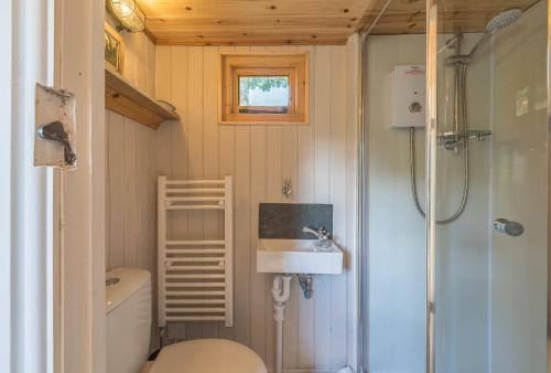 a small bathroom with a toilet and a sink at Craven Shepherd Huts in Appletreewick