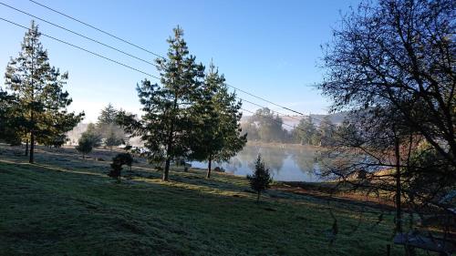 a view of a lake from a park with trees at Cabañas Tapalpa Sierra del Tecuan, Cabaña Conejo in Tapalpa