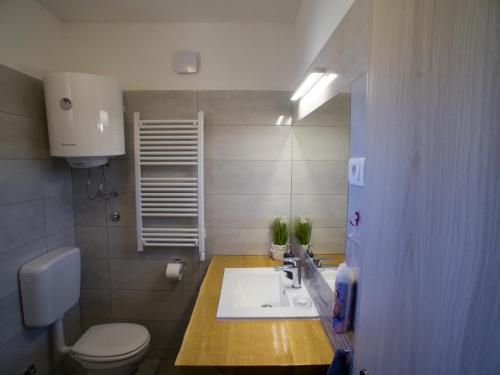 een badkamer met een witte wastafel en een toilet bij A lovely and cozy room with a breathtaking view in Vis