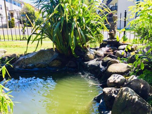 a pond with rocks and plants in a yard at Beaconsfield Bed and Breakfast - Victoria in Victoria