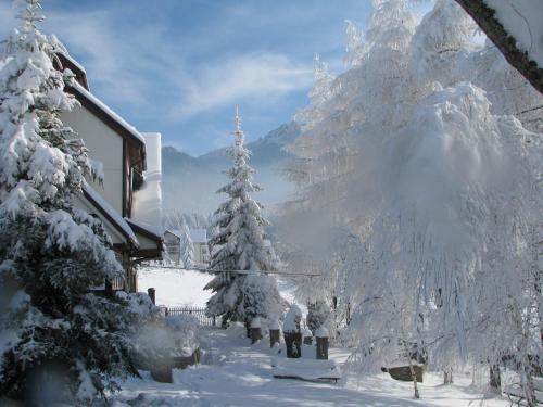 a group of trees covered in snow next to a building at pensiunea Gabriela in Durau