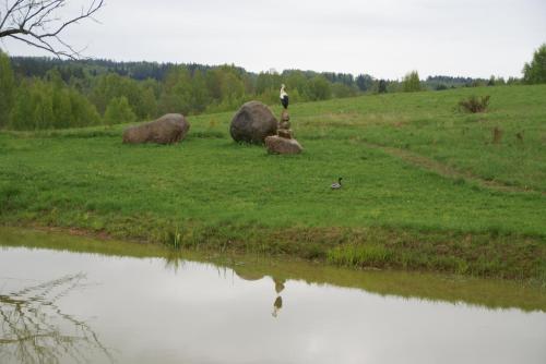 Gallery image of Dzērves in Araiši