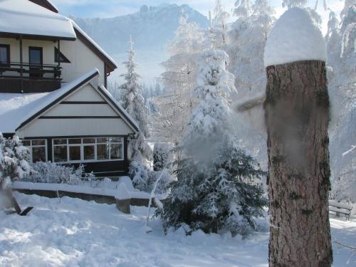 a house with a snow covered tree in front of it at pensiunea Gabriela in Durau