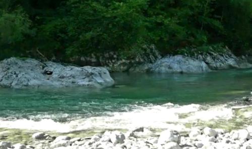 a river with rocks and trees in the background at Apartma NADIŽA Borjana107 in Borjana