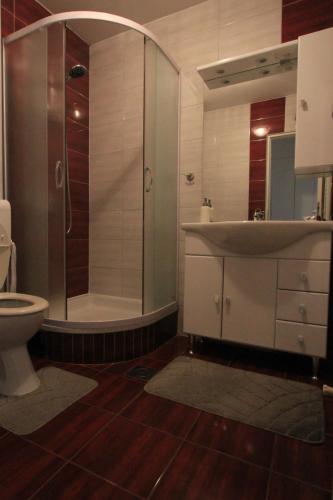 a bathroom with a shower and a sink and a toilet at Gospic Riverside Apartment in Gospić