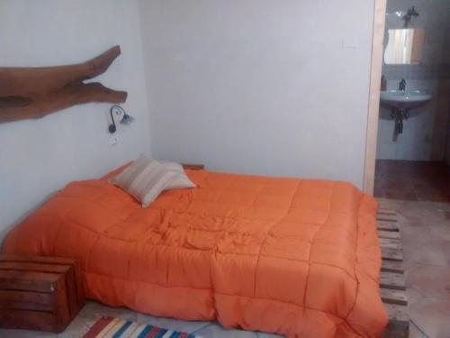 an orange bed in a room with a sink at Agriturismo La Caraffara sull' Etna in Puntalazzo