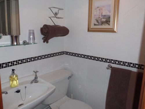 Un baño de The Elms