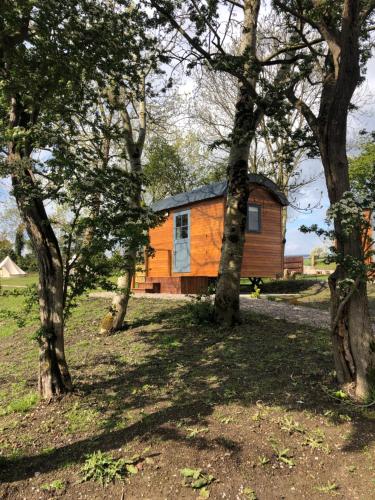a cabin in the woods with trees in the foreground at Oakwell holiday village in Ramelton