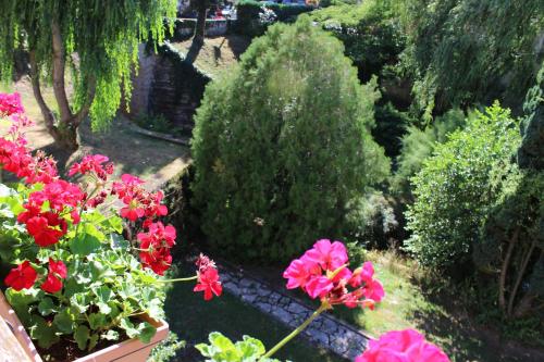 a garden with pink flowers and bushes and trees at Bergerie du Château - Lacapelle Marival in Lacapelle-Marival