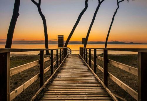 a boardwalk to the beach at sunset with palm trees at ROMANTICA TOSCANA in Scarlino