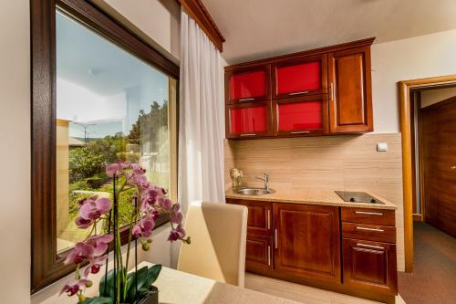 Gallery image of Apartmani Laban in Herceg-Novi