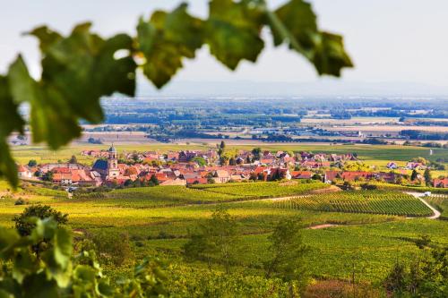 Ảnh trong thư viện ảnh của Chambres d'hôtes François Bleger ở Saint-Hippolyte