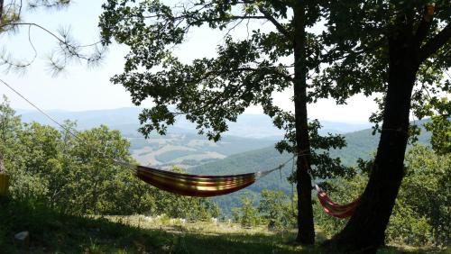a hammock hanging from a tree with a view at Podere Lama in Castelnuovo di Val di Cecina