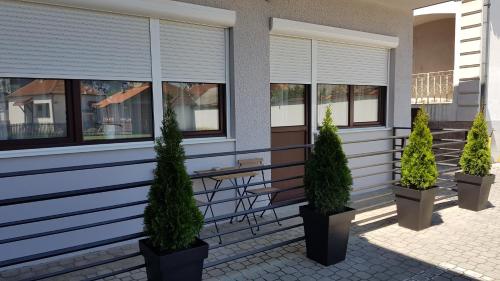 a building with three potted trees in front of a bench at Apartments Spring in Čačak