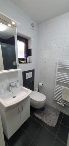 La salle de bains blanche est pourvue de toilettes et d'un lavabo. dans l'établissement Apartment Alpska Astra, à Kranjska Gora