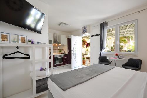 Spalato Imperium - with terrace, free bikes