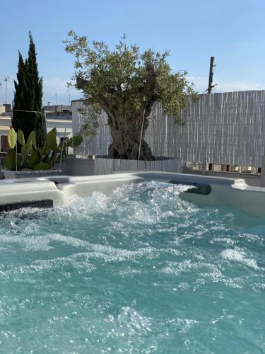 Chichouse – Photos 3