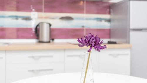 a purple flower in a vase in a kitchen at Apartmani Memories I in Baška