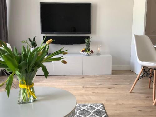 a living room with a tv on a white cabinet at Modern Flats in Kielce