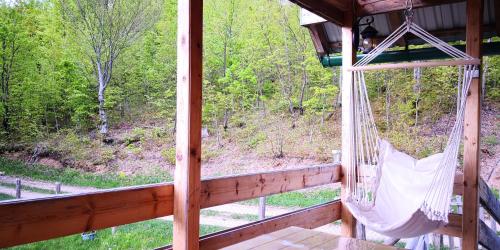 a porch with a hammock and a view of a forest at Koliba Pčelica 1-SPA in Bijelo Polje