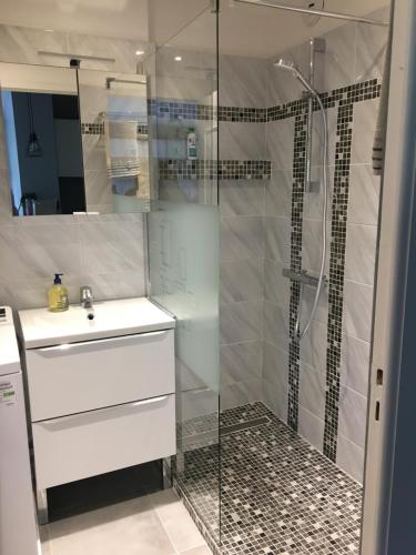 une salle de bain avec une douche avec un lavabo et des toilettes dans l'établissement Antibes Juan les Pins center,1 bedroom apart, pool, à Antibes
