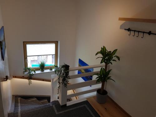 a staircase with plants and a window in a room at Appartment LuKi in Haus im Ennstal