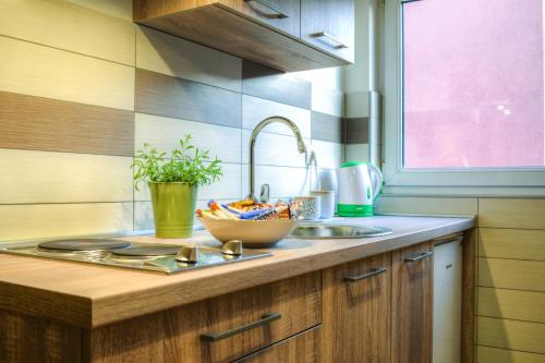 Kuchyňa alebo kuchynka v ubytovaní Apartmani Matko