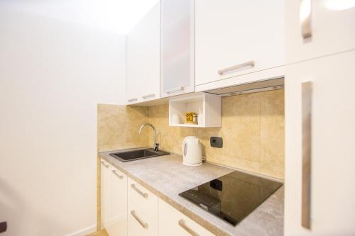 Kuchyň nebo kuchyňský kout v ubytování Apartment Studio Premier