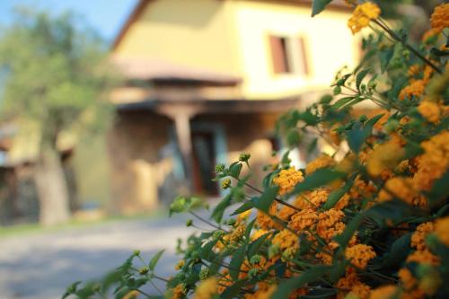 Edificio en el que se encuentra the country house
