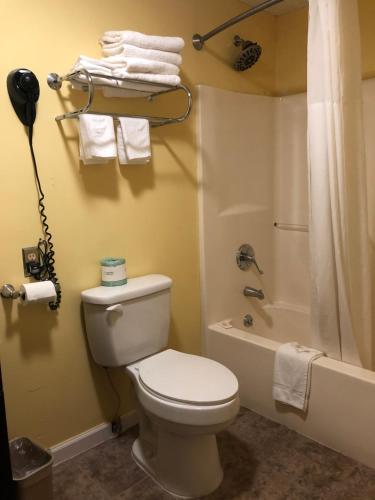 La salle de bains est pourvue d'une douche et de toilettes blanches. dans l'établissement Ellijay Inn - Downtown Ellijay, à Ellijay