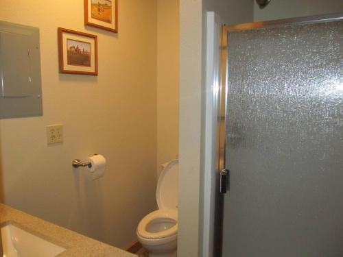 La salle de bains est pourvue de toilettes, d'un lavabo et d'une douche. dans l'établissement Mountain Man Cabin, à Wapiti