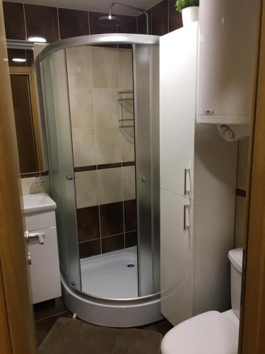 een douche met een glazen deur in de badkamer bij Zlatibor Apartman Pantic in Zlatibor